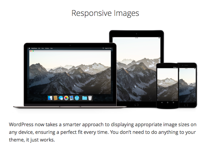 wordpress responsive images