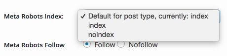 No Index No Follow
